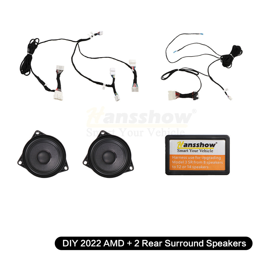 DIY 2022 AMD 2 Rear Surround Speakers