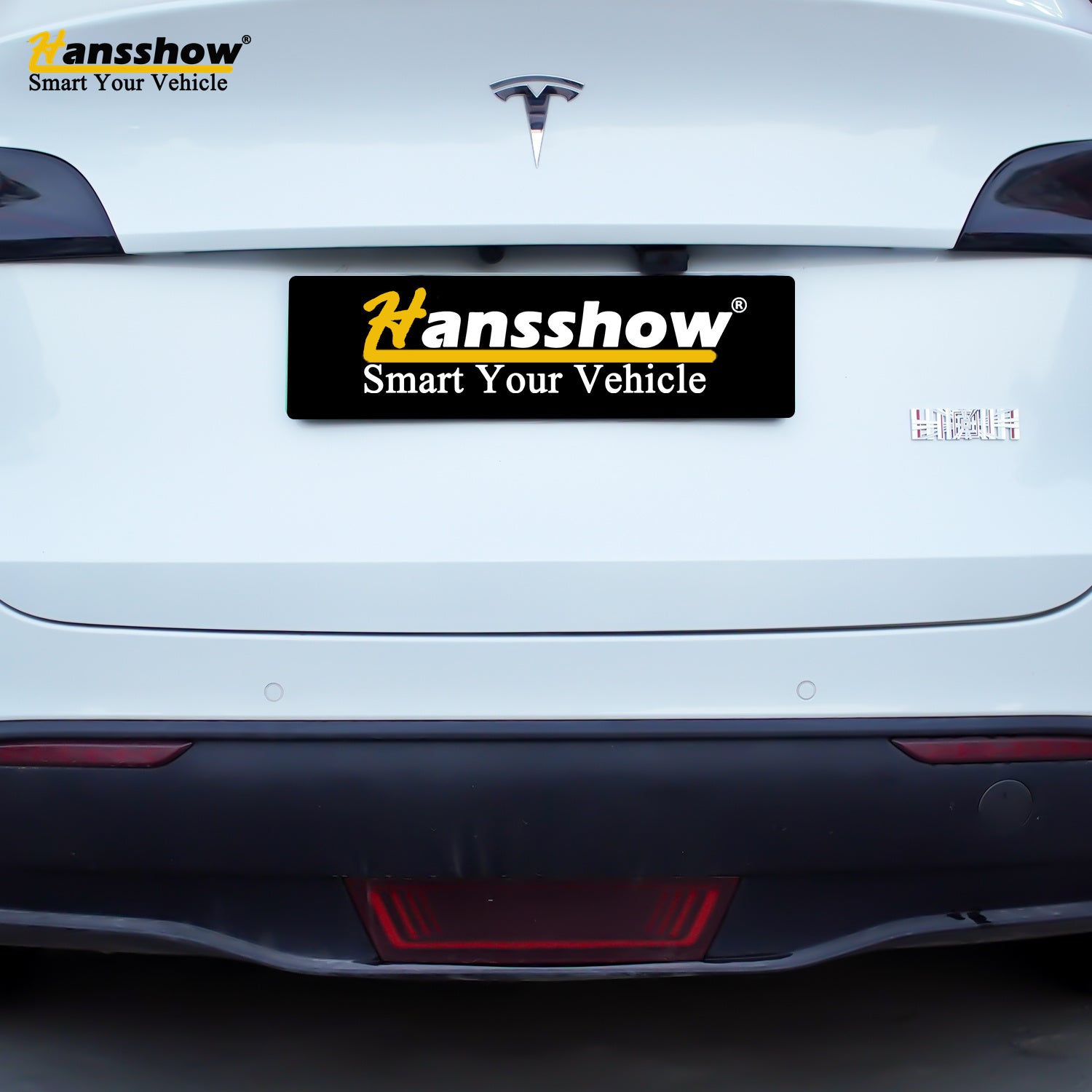 Tesla plaid logo For Model 3 Y S X